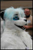 [AkitaInus MFF2006 287]