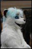 [AkitaInus MFF2006 289]