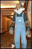 [AkitaInus MFF2006 331]