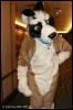 [AkitaInus MFF2006 335]