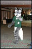 [AkitaInus MFF2006 340]