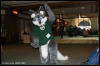 [AkitaInus MFF2006 343]