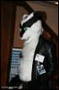 [AkitaInus MFF2006 355]