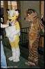 [AkitaInus MFF2006 378]