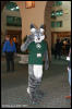 [AkitaInus MFF2006 389]