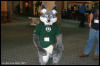 [AkitaInus MFF2006 392]