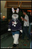 [AkitaInus MFF2006 393]