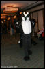 [AkitaInus MFF2006 396]