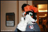 [AkitaInus MFF2006 404]