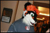 [AkitaInus MFF2006 405]