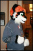 [AkitaInus MFF2006 406]