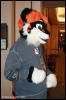 [AkitaInus MFF2006 407]