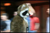 [AkitaInus MFF2006 413]