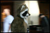 [AkitaInus MFF2006 414]