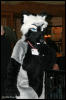 [AkitaInus MFF2006 418]