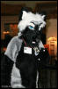 [AkitaInus MFF2006 419]