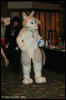 [AkitaInus MFF2006 424]