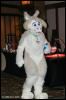 [AkitaInus MFF2006 425]