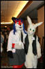 [AkitaInus MFF2006 435]