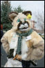 [AkitaInus MFF2006 450]