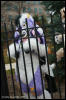 [AkitaInus MFF2006 507]