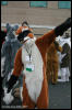 [AkitaInus MFF2006 512]