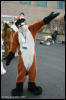 [AkitaInus MFF2006 515]