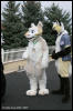 [AkitaInus MFF2006 546]