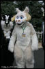 [AkitaInus MFF2006 549]