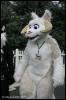 [AkitaInus MFF2006 550]