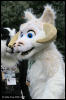 [AkitaInus MFF2006 552]