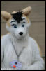 [AkitaInus MFF2006 556]