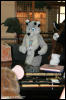 [AkitaInus MFF2006 611]