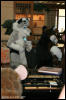 [AkitaInus MFF2006 612]