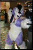 [AkitaInus MFF2006 634]