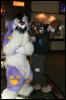 [AkitaInus MFF2006 637]