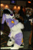 [AkitaInus MFF2006 639]