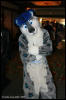 [AkitaInus MFF2006 640]