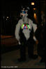 [AkitaInus MFF2006 756]