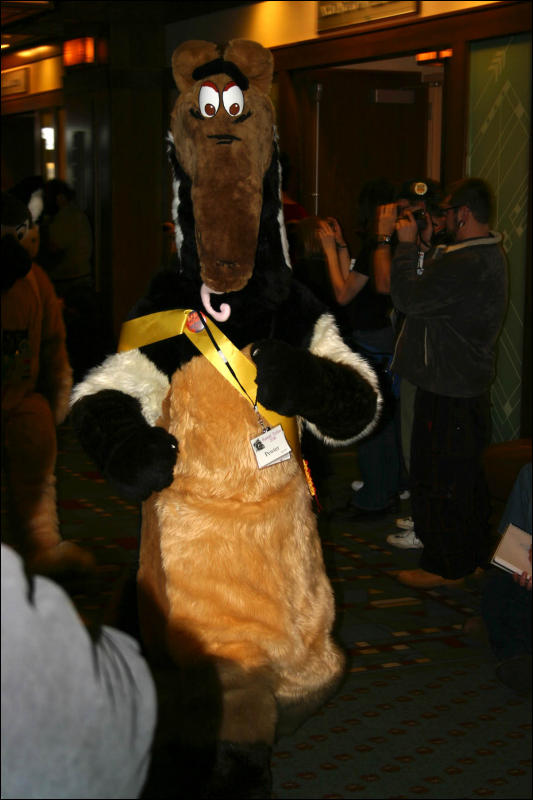 [Armadillos_MFF2006_004.jpg]