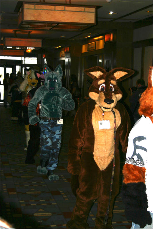 [Armadillos_MFF2006_006.jpg]