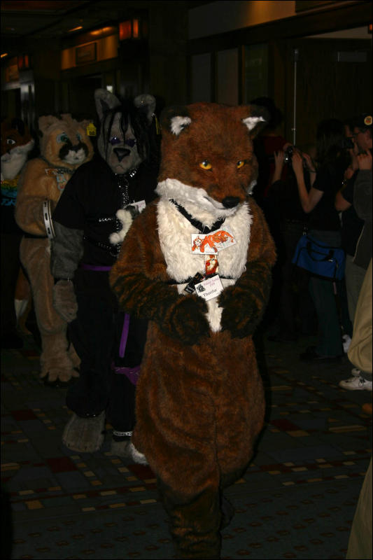 [Armadillos_MFF2006_008.jpg]