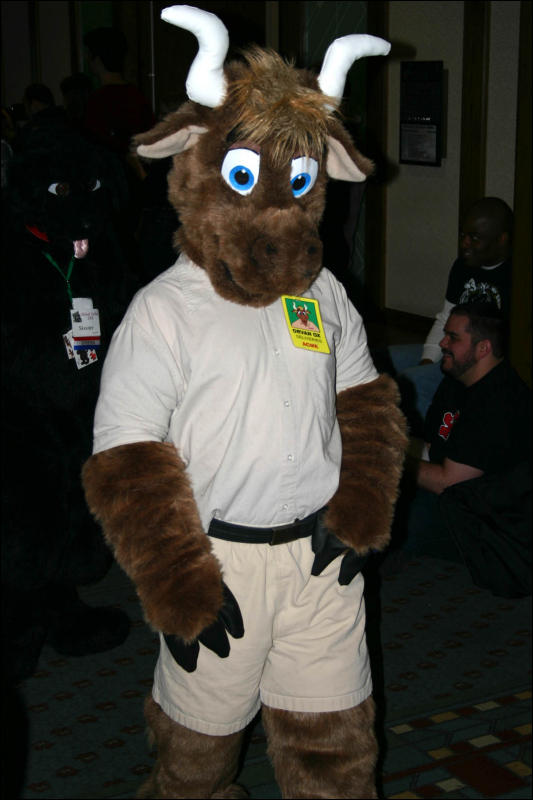 [Armadillos_MFF2006_020.jpg]