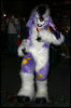 [Armadillos MFF2006 031]