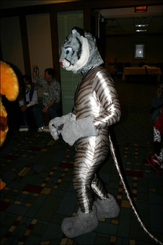 [Armadillos_MFF2006_034.jpg]