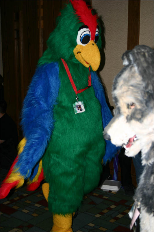 [Armadillos_MFF2006_038.jpg]