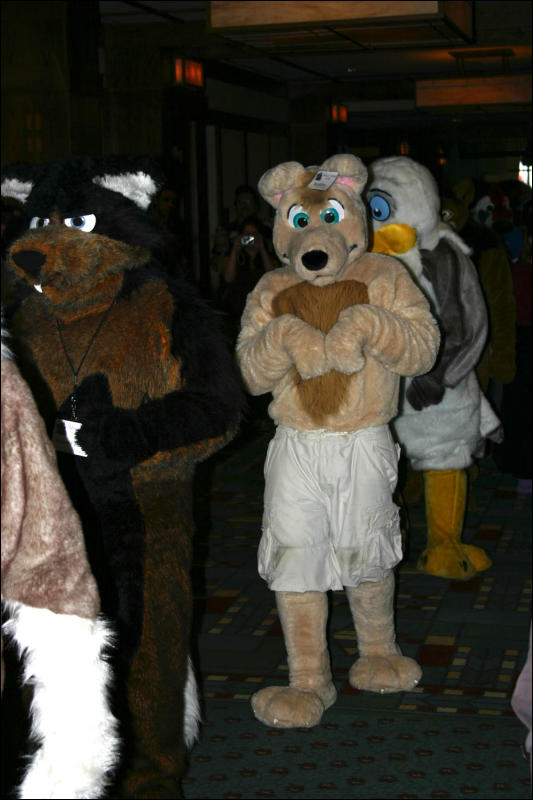 [Armadillos_MFF2006_040.jpg]