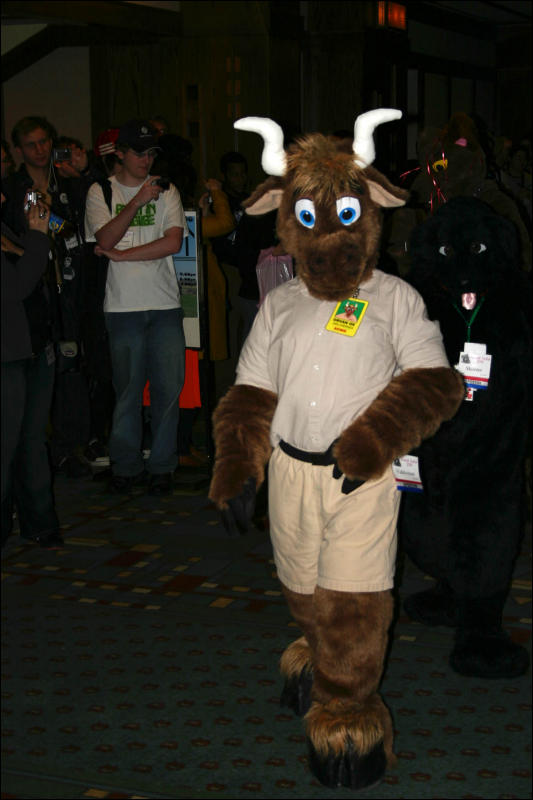 [Armadillos_MFF2006_041.jpg]