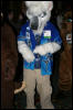 [Armadillos MFF2006 044]