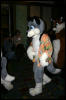 [Armadillos MFF2006 054]